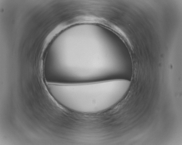 X0000081571472200701151159