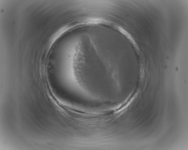 X0000081571473200701151159