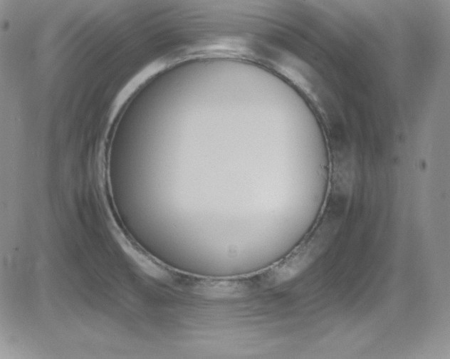 X0000081571474200701151159
