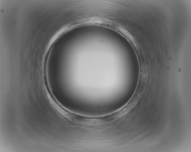 X0000081571475200701151159