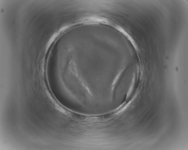 X0000081571477200701151159