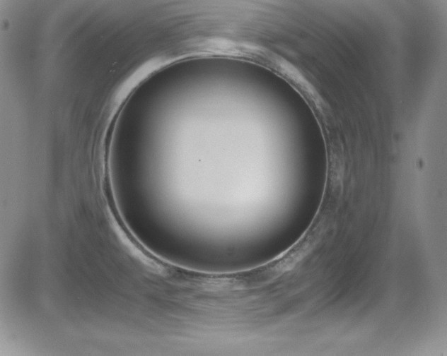 X0000081571479200701151159
