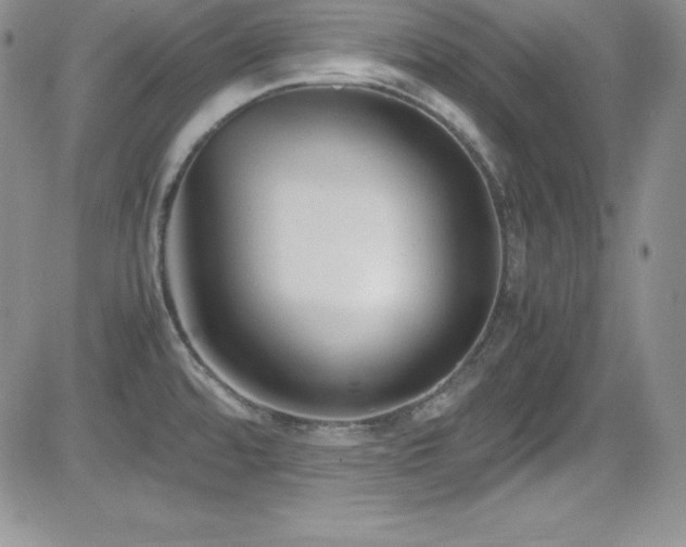 X0000081571480200701151159
