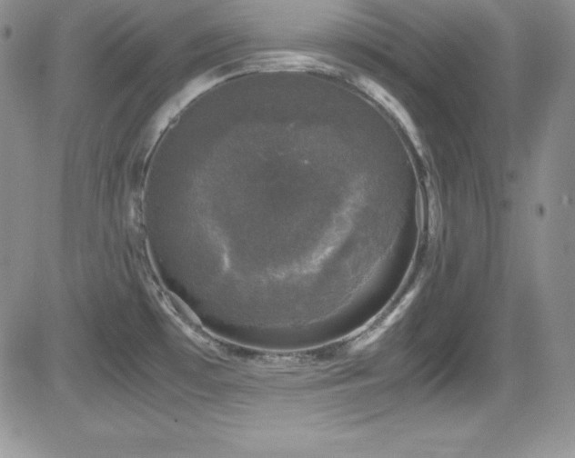 X0000081571481200701151159