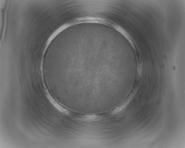 X0000081571482200701151159