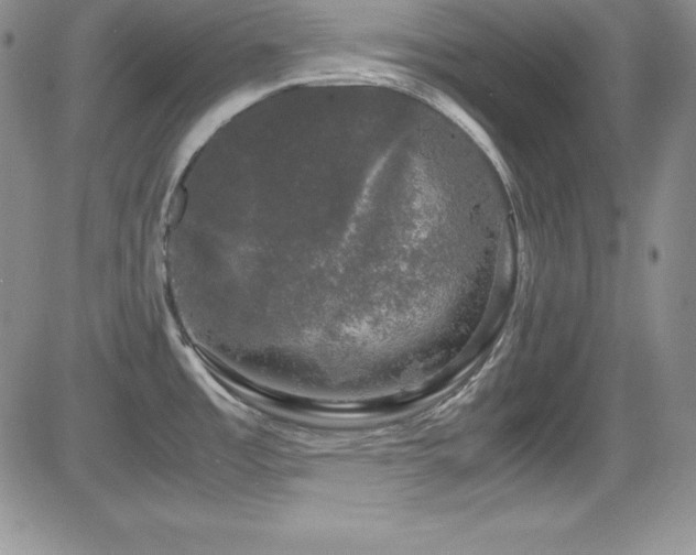 X0000081571485200701151159