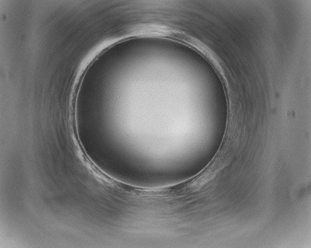X0000081571488200701151159