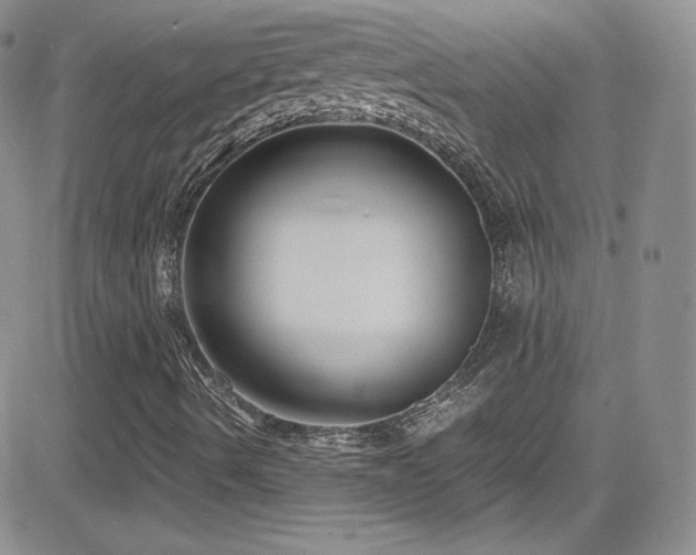 X0000081571490200701151158