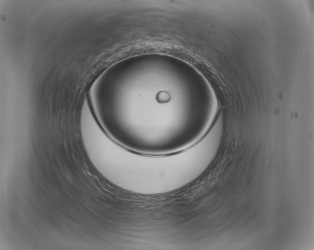 X0000081571492200701151158