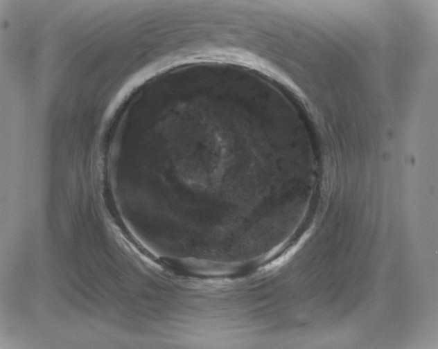 X0000081571506200701151159