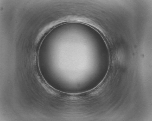 X0000081571507200701151159