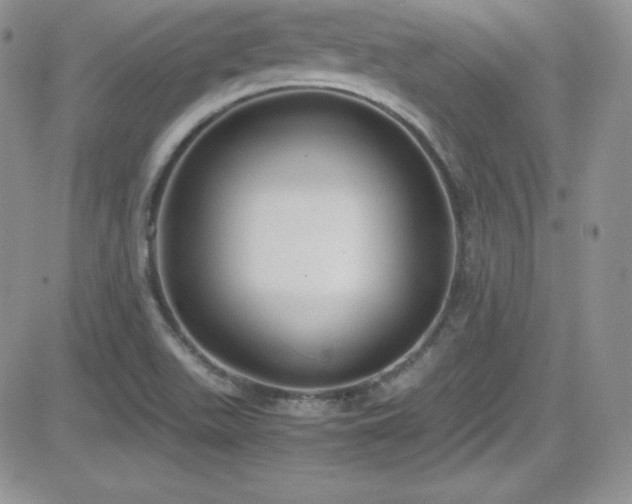 X0000081571511200701151159