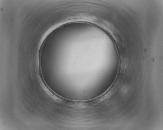 X0000081571516200701151159