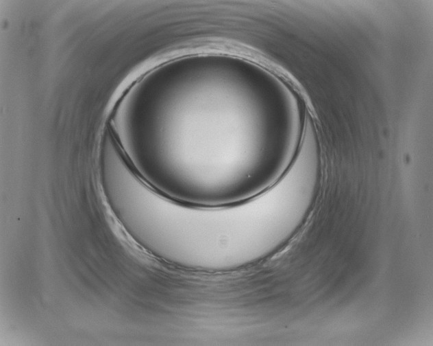 X0000081571530200701151159
