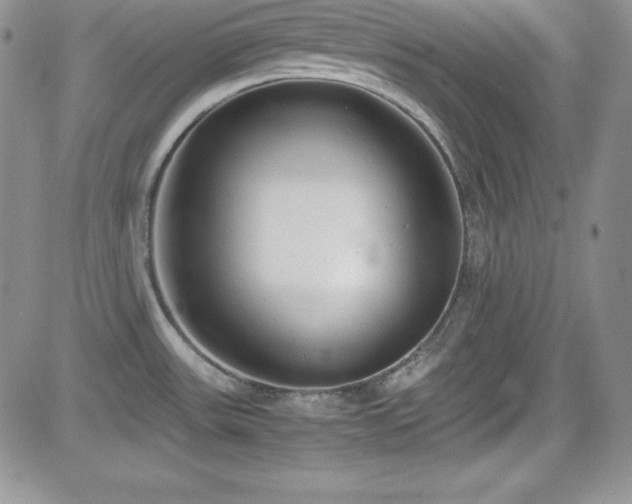 X0000081571531200701151159