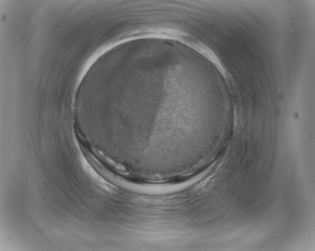 X0000081571532200701151159