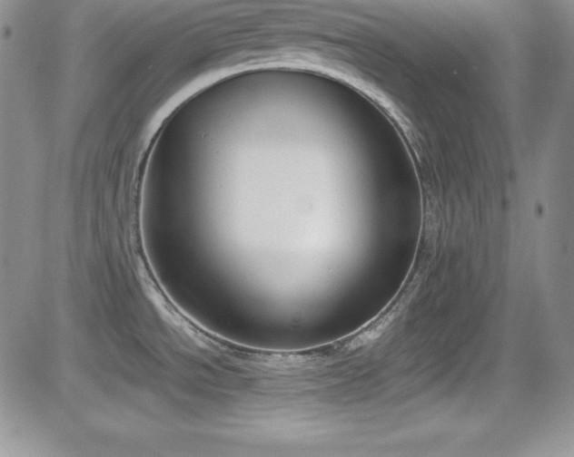 X0000081571534200701151159