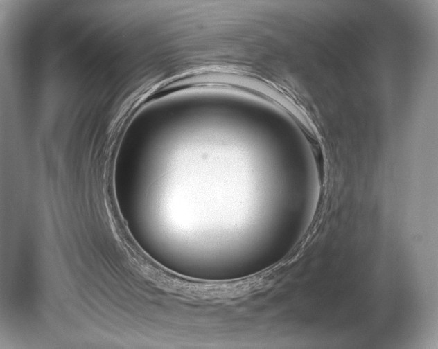 X0000081570001200701221105