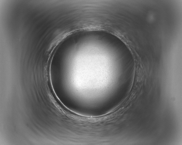 X0000081570002200701221105