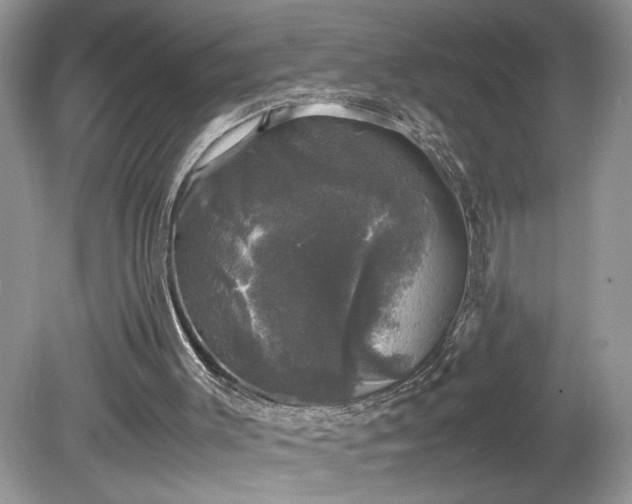 X0000081570003200701221105