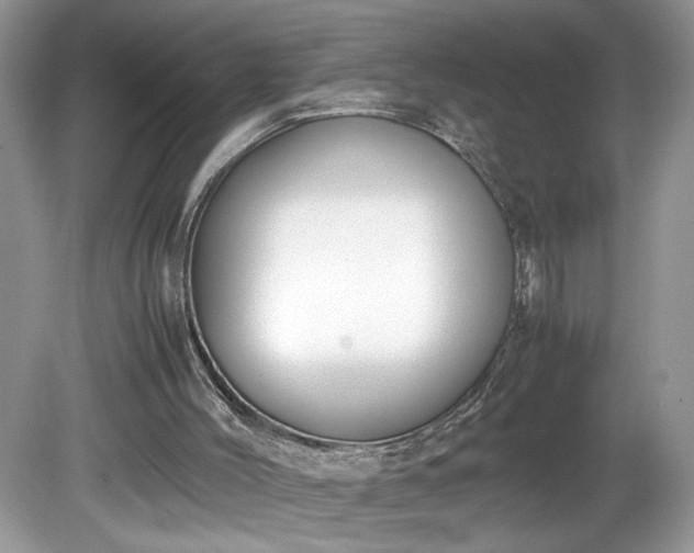 X0000081570004200701221105