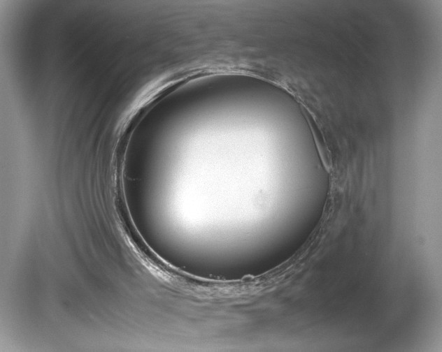 X0000081570005200701221105