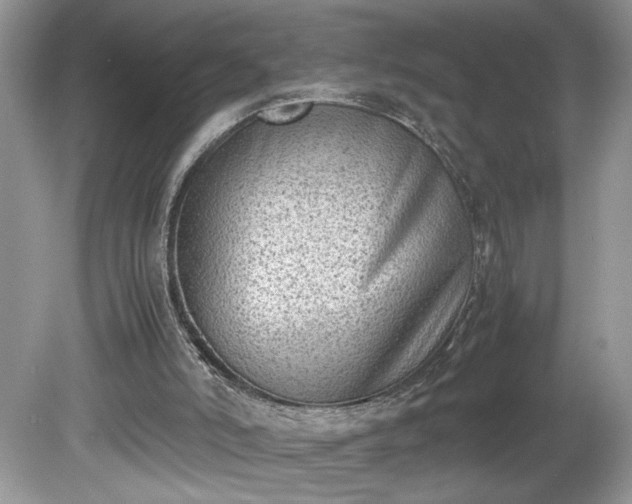 X0000081570006200701221105