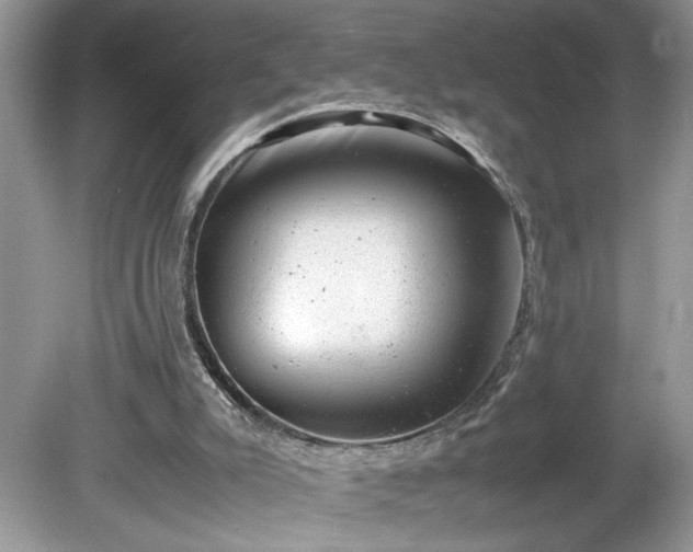 X0000081570007200701221105