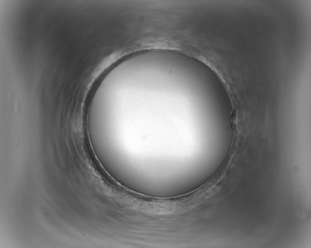 X0000081570008200701221105