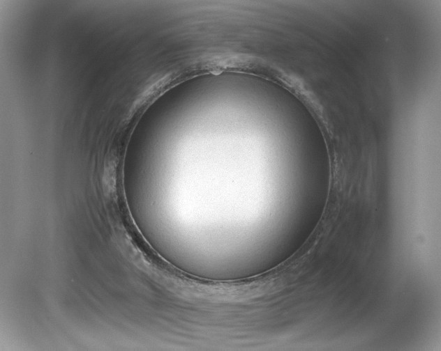 X0000081570010200701221105