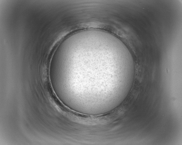 X0000081570012200701221105