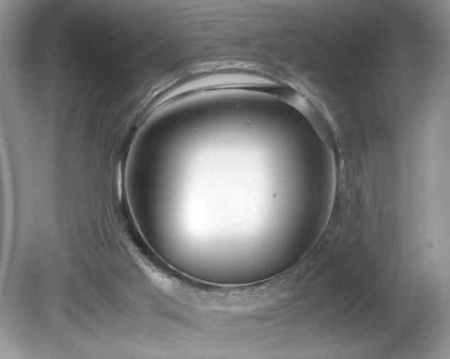 X0000081570013200701221105