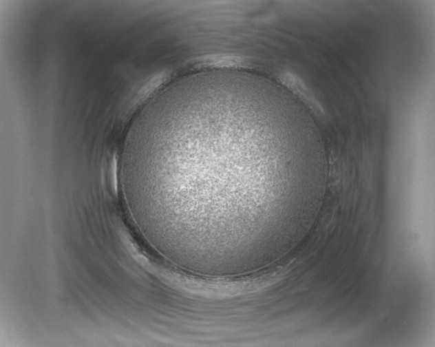 X0000081570014200701221105