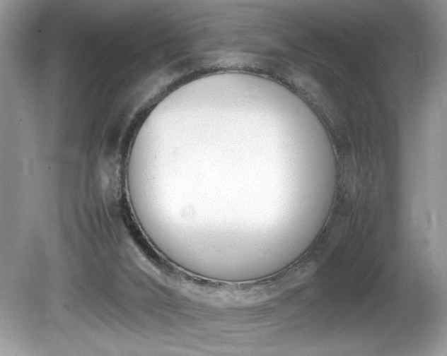 X0000081570016200701221104