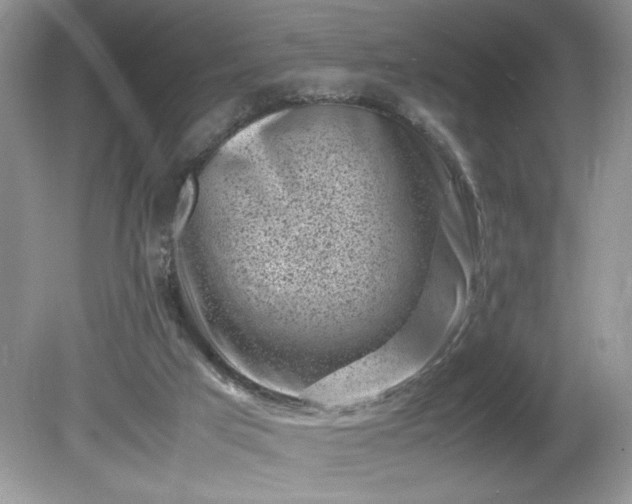 X0000081570017200701221104