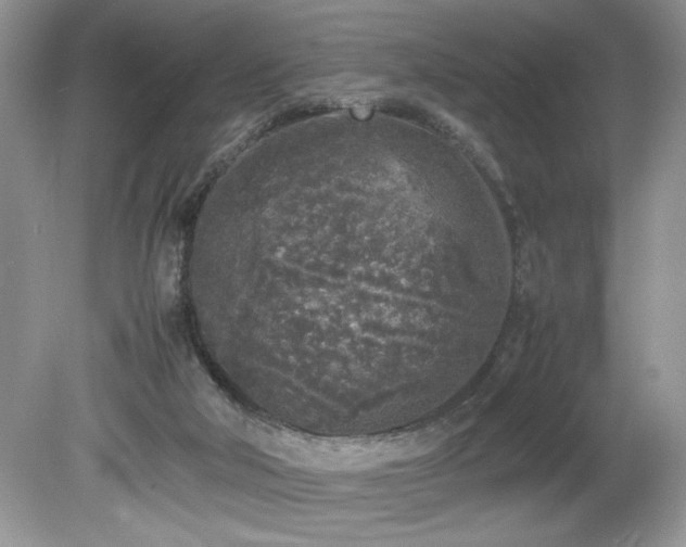 X0000081570018200701221104