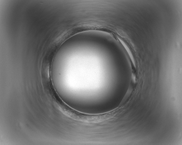 X0000081570021200701221104