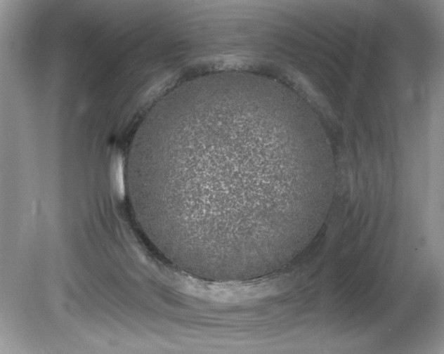 X0000081570022200701221104