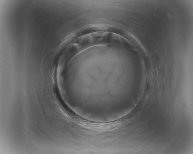 X0000081570023200701221104