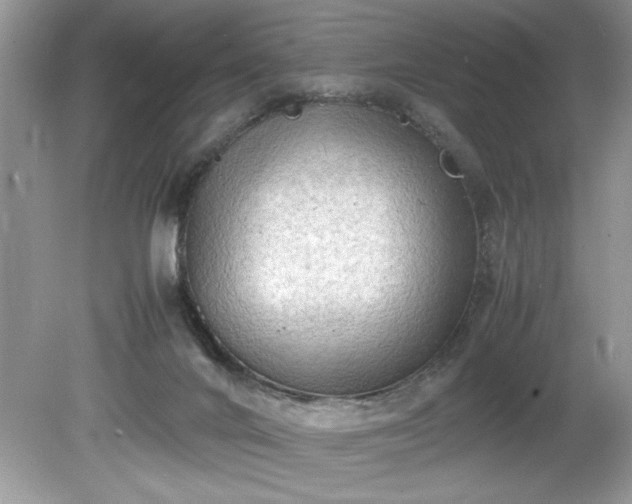 X0000081570024200701221104