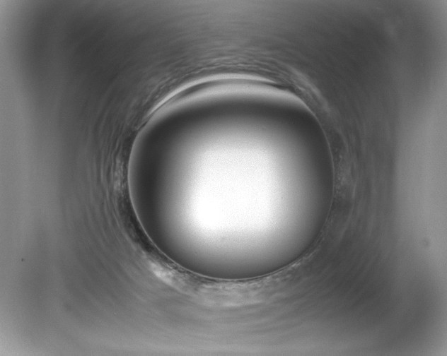 X0000081570025200701221104