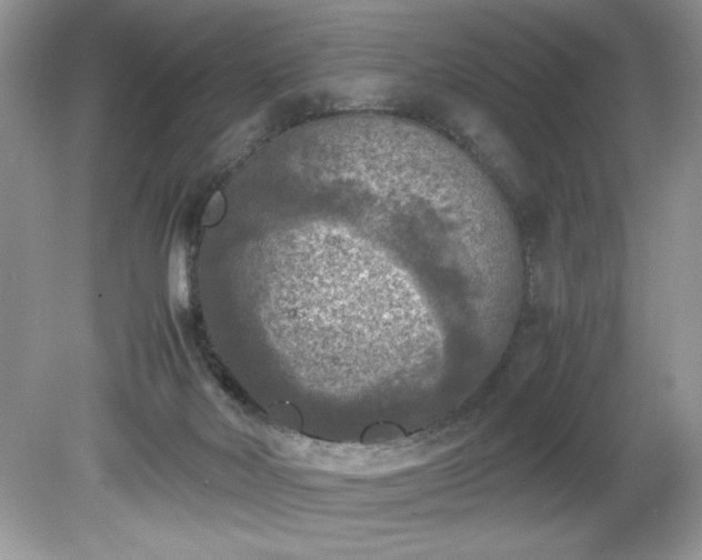 X0000081570026200701221104