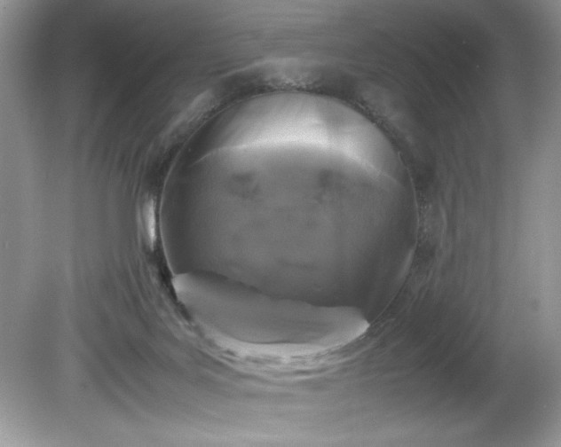 X0000081570027200701221104