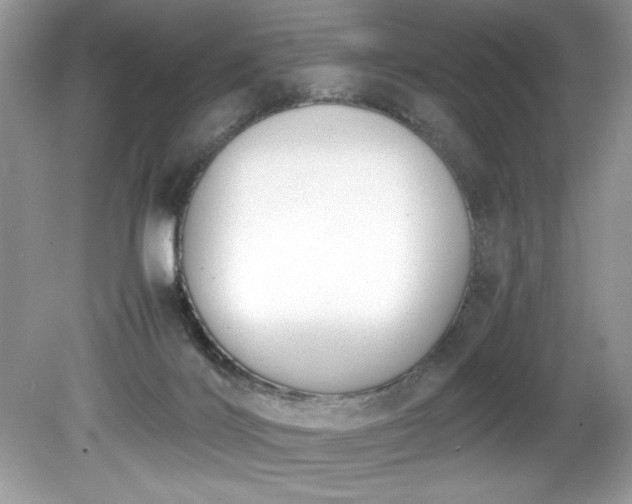 X0000081570028200701221104