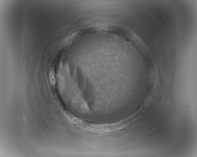 X0000081570029200701221104