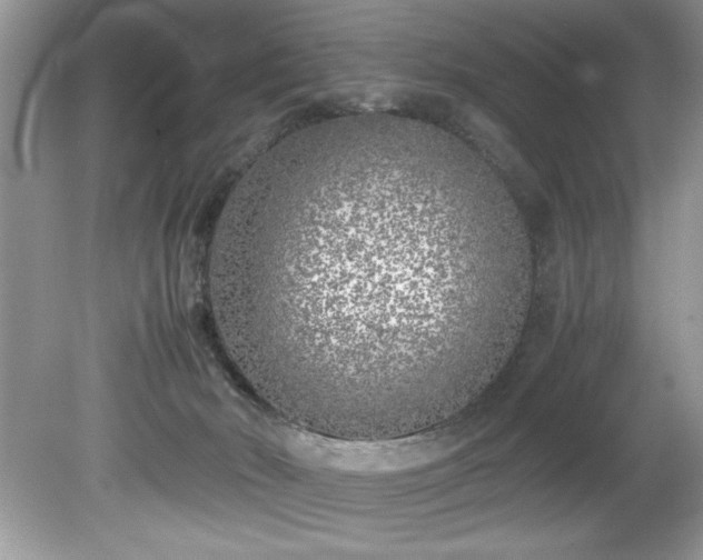 X0000081570030200701221104