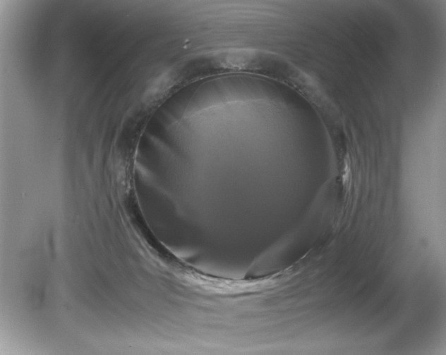 X0000081570031200701221104