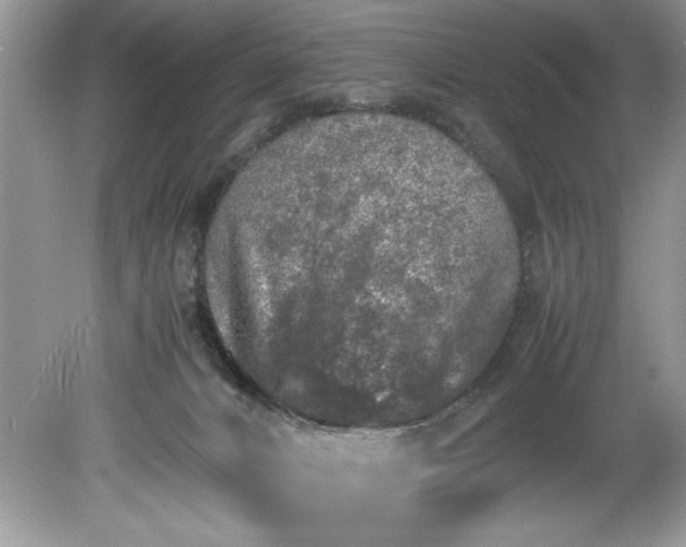 X0000081570032200701221104