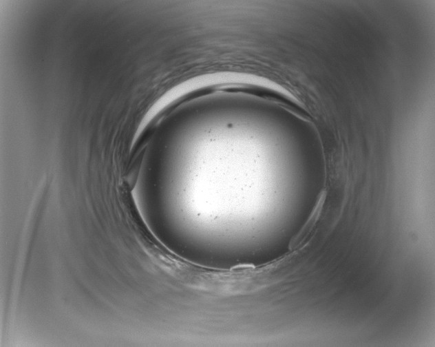 X0000081570033200701221104