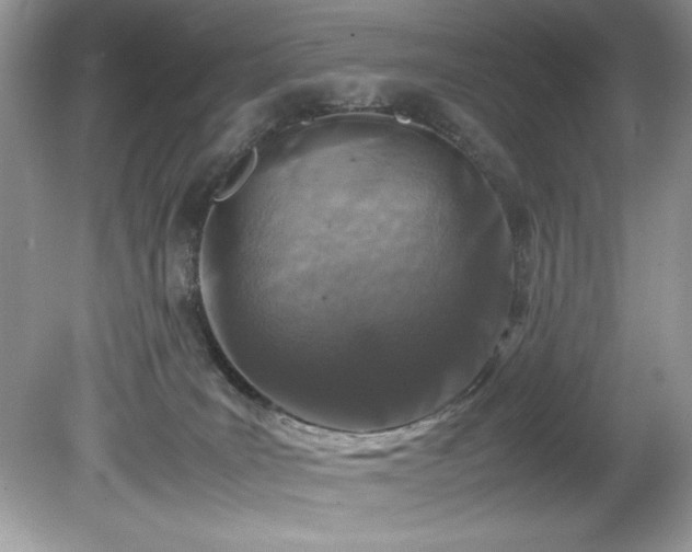 X0000081570035200701221104